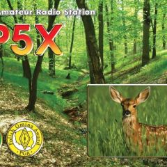 Ekonomiczne karty QSL