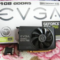 Karta graficzna eVGA PCIe